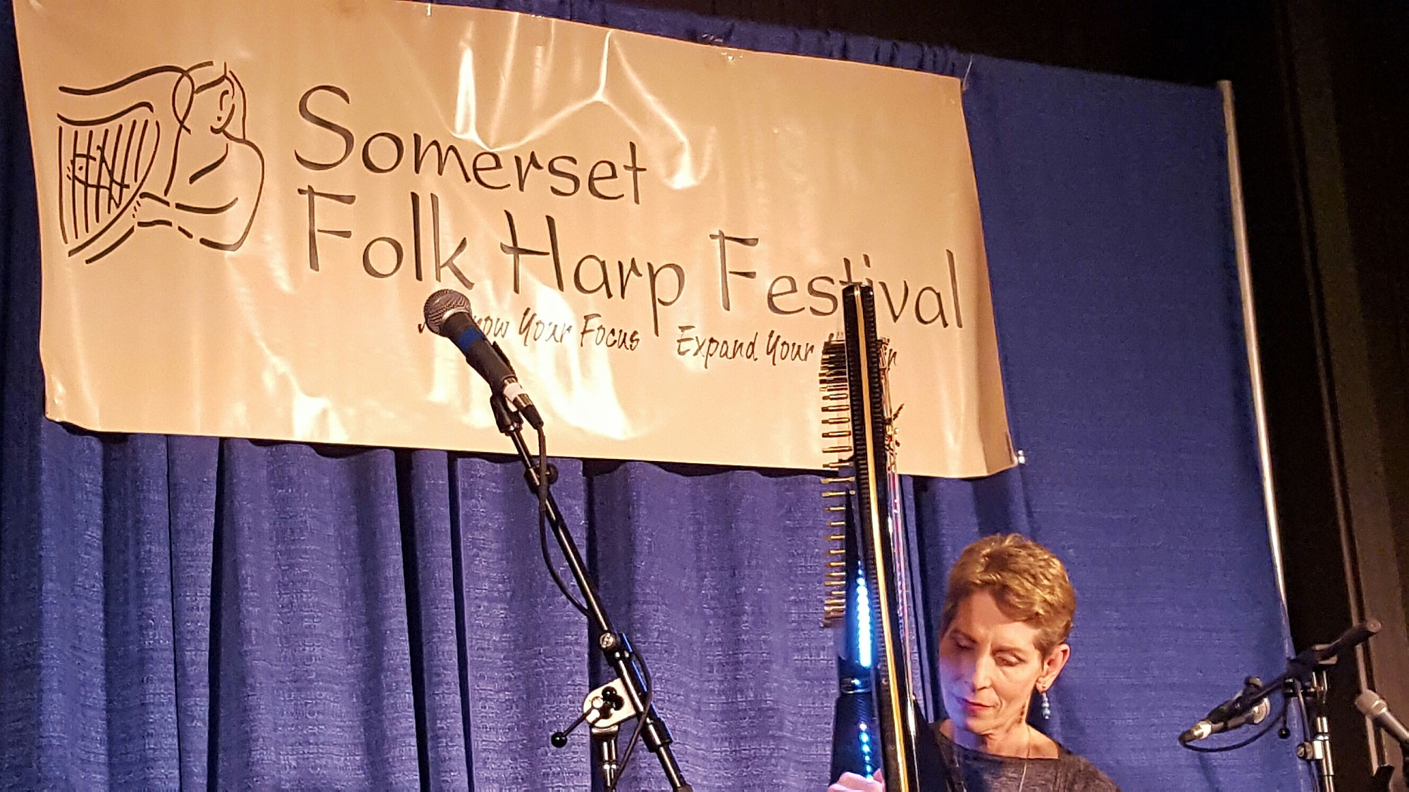 Somerset Folk Harp Festival Harfe Harfen Arpa Harpe Harpa